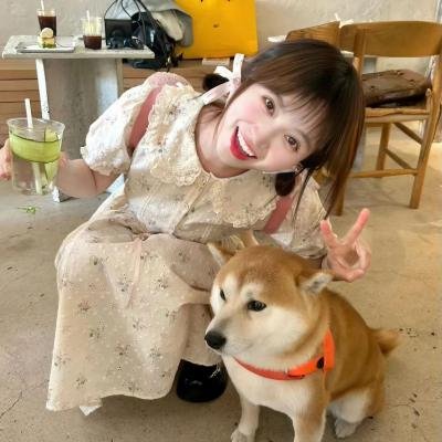 我属于谁